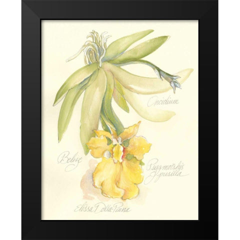 Elissas Garden III Black Modern Wood Framed Art Print by Della-Piana, Elissa