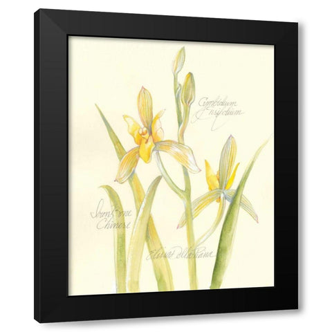 Elissas Garden IV Black Modern Wood Framed Art Print by Della-Piana, Elissa