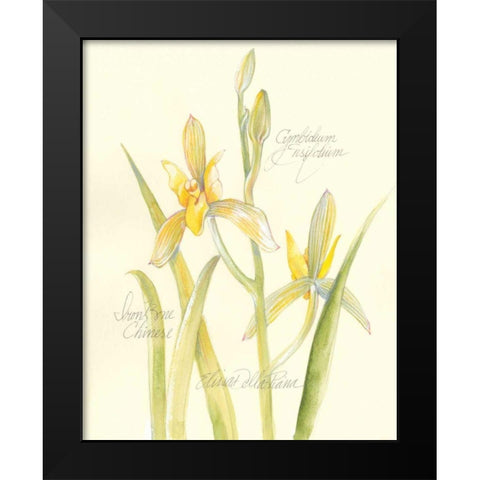 Elissas Garden IV Black Modern Wood Framed Art Print by Della-Piana, Elissa