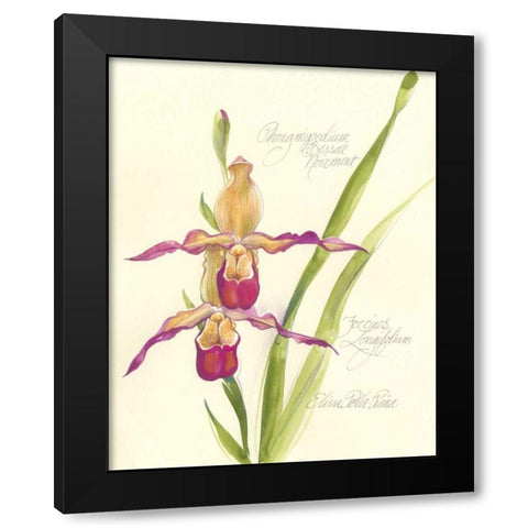 Elissas Garden VII Black Modern Wood Framed Art Print with Double Matting by Della-Piana, Elissa