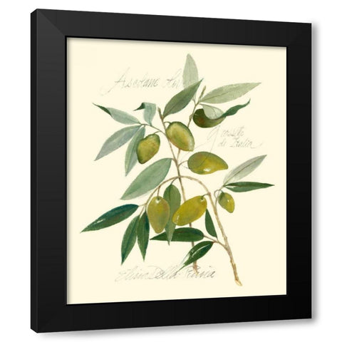Ascolane Olives Black Modern Wood Framed Art Print with Double Matting by Della-Piana, Elissa