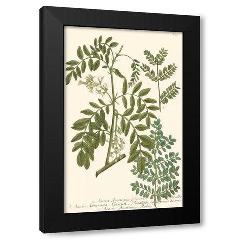 Weinmann Leaves I Black Modern Wood Framed Art Print with Double Matting by Weinmann