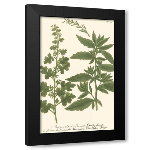 Weinmann Leaves III Black Modern Wood Framed Art Print with Double Matting by Weinmann