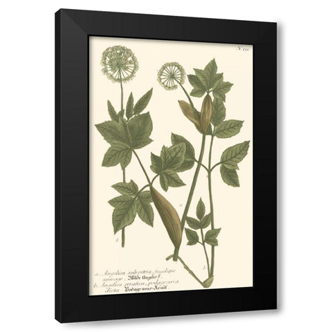 Weinmann Leaves IV Black Modern Wood Framed Art Print by Weinmann