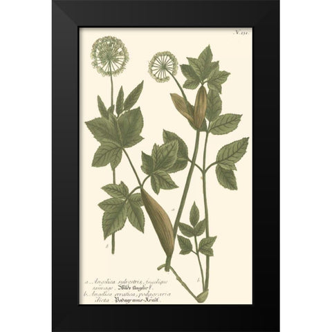 Weinmann Leaves IV Black Modern Wood Framed Art Print by Weinmann