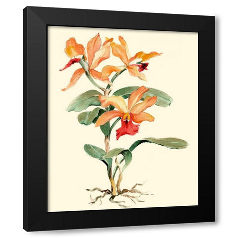 Orange Orchid Black Modern Wood Framed Art Print by Waldman, Joy