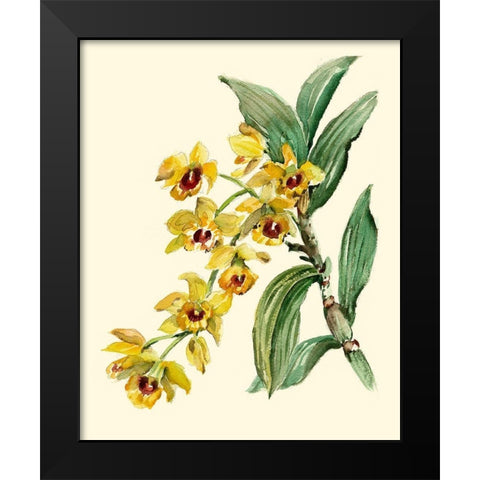 Dendrobium Orchid Black Modern Wood Framed Art Print by Waldman, Joy