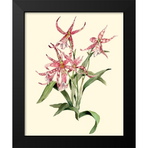 Mittassia Hybrid Orchid Black Modern Wood Framed Art Print by Waldman, Joy
