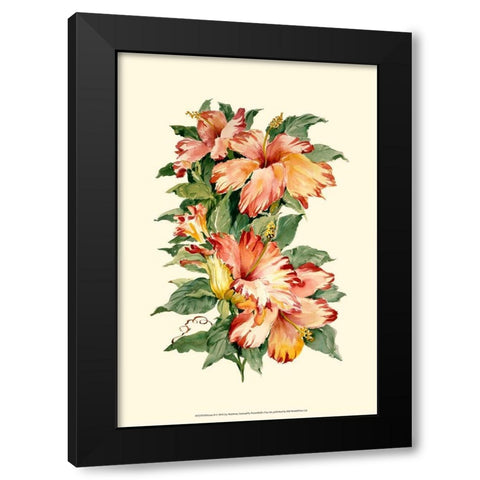 Hibiscus II Black Modern Wood Framed Art Print by Waldman, Joy