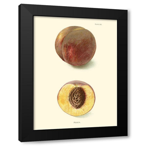 Peach Black Modern Wood Framed Art Print with Double Matting by Unknown