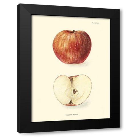 Apple II Black Modern Wood Framed Art Print by Unknown