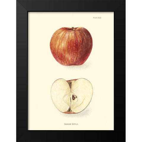 Apple II Black Modern Wood Framed Art Print by Unknown