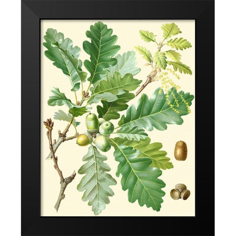 Acorns and Foliage I Black Modern Wood Framed Art Print by Vision Studio