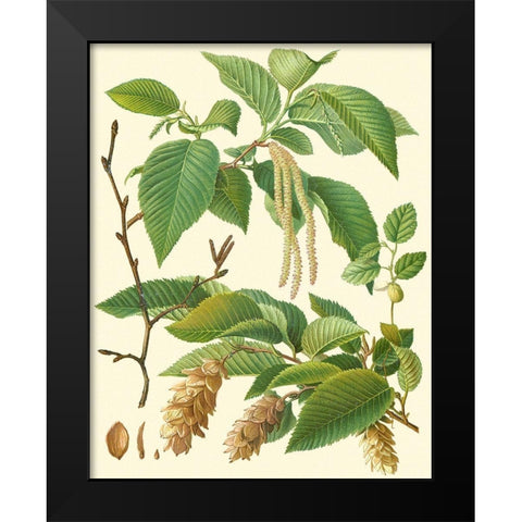 Pinecones and Foliage I Black Modern Wood Framed Art Print by Vision Studio