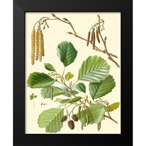 Pinecones and Foliage II Black Modern Wood Framed Art Print by Vision Studio