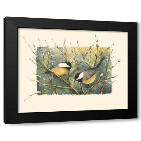 Chickadees and Pussy Willow Black Modern Wood Framed Art Print with Double Matting by Mandel, Janet