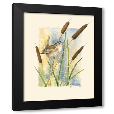 Marsh Wren and Cattails Black Modern Wood Framed Art Print with Double Matting by Mandel, Janet