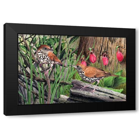 Thrush Black Modern Wood Framed Art Print by Dornish, Al