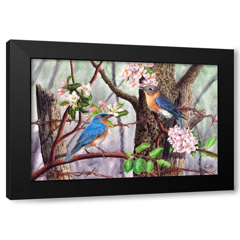 Bluebirds Black Modern Wood Framed Art Print with Double Matting by Dornish, Al