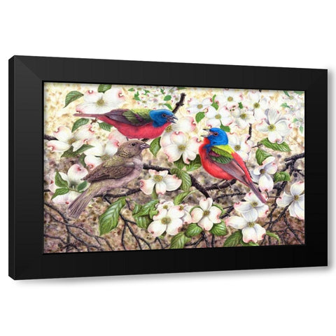Painted Bunting Black Modern Wood Framed Art Print by Dornish, Al