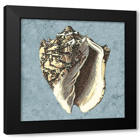 Stonewashed Shells I Black Modern Wood Framed Art Print with Double Matting by Vision Studio