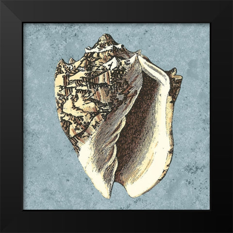 Stonewashed Shells I Black Modern Wood Framed Art Print by Vision Studio