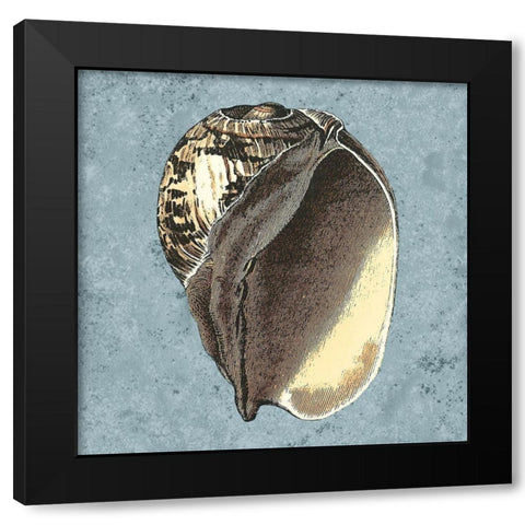 Stonewashed Shells II Black Modern Wood Framed Art Print with Double Matting by Vision Studio