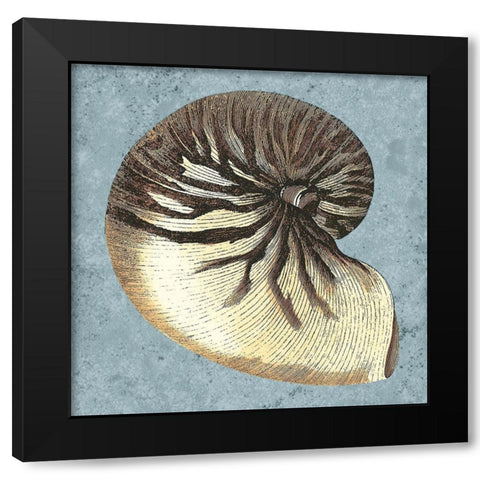 Stonewashed Shells III Black Modern Wood Framed Art Print with Double Matting by Vision Studio