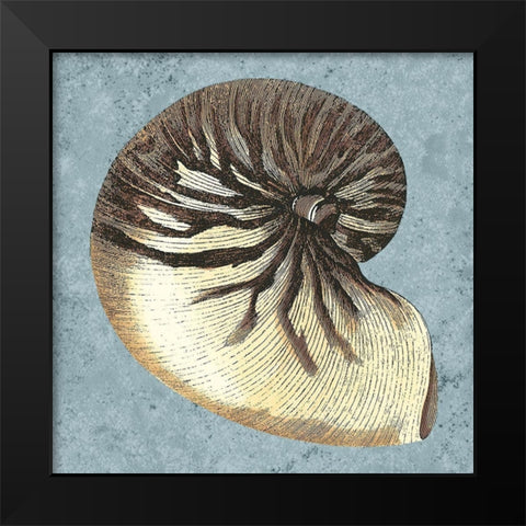 Stonewashed Shells III Black Modern Wood Framed Art Print by Vision Studio