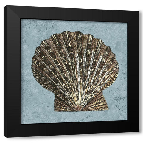 Stonewashed Shells IV Black Modern Wood Framed Art Print with Double Matting by Vision Studio