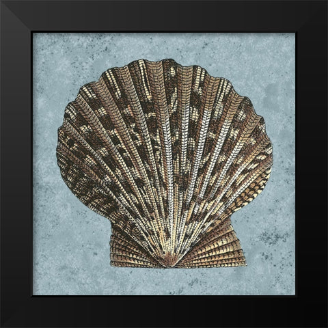 Stonewashed Shells IV Black Modern Wood Framed Art Print by Vision Studio