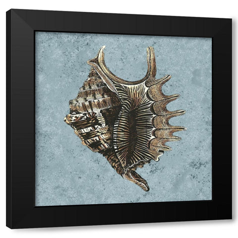 Stonewashed Shells V Black Modern Wood Framed Art Print by Vision Studio