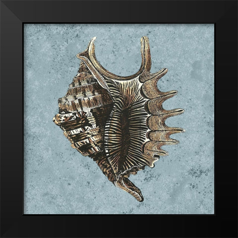 Stonewashed Shells V Black Modern Wood Framed Art Print by Vision Studio