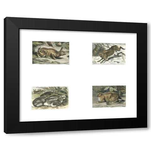 Micro Bunnies Black Modern Wood Framed Art Print by Unknown