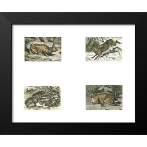 Micro Bunnies Black Modern Wood Framed Art Print by Unknown