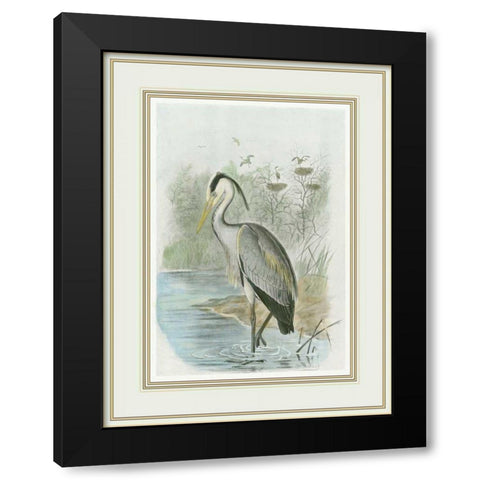 Common Heron Black Modern Wood Framed Art Print by Frohawk