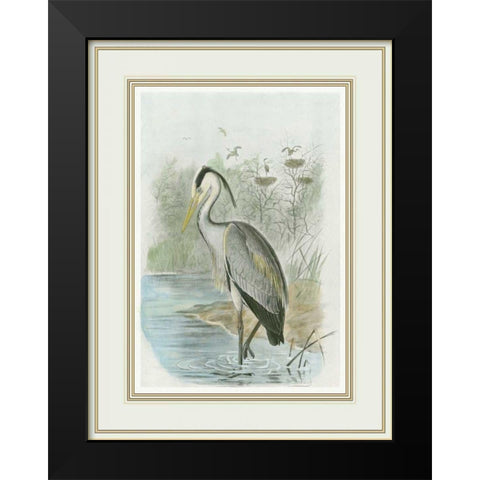 Common Heron Black Modern Wood Framed Art Print by Frohawk