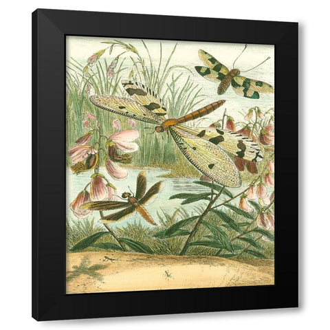 Dragonfly Gathering I Black Modern Wood Framed Art Print with Double Matting by Vision Studio