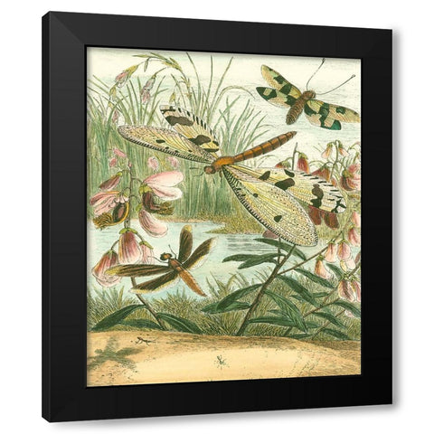 Dragonfly Gathering I Black Modern Wood Framed Art Print by Vision Studio