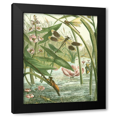 Dragonfly Gathering II Black Modern Wood Framed Art Print by Vision Studio