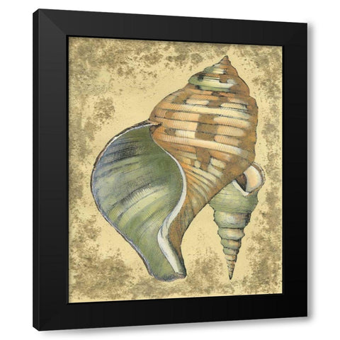 Sand and Shells II Black Modern Wood Framed Art Print by Vision Studio