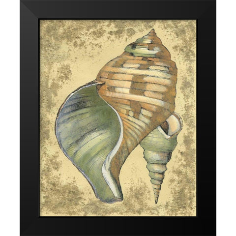 Sand and Shells II Black Modern Wood Framed Art Print by Vision Studio