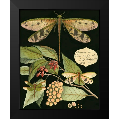 Whimsical Dragonfly on Black I Black Modern Wood Framed Art Print by Vision Studio