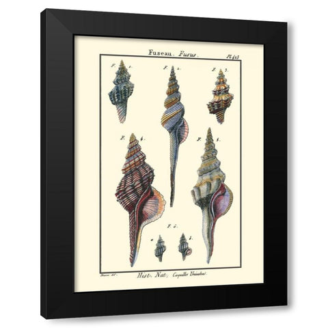 Sea Shells I Black Modern Wood Framed Art Print by Diderot, Denis