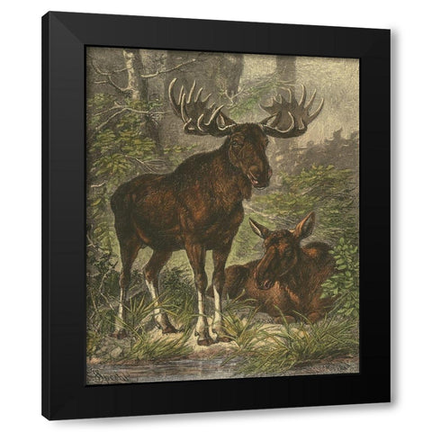 Small Moose Black Modern Wood Framed Art Print by Specht, Friedrich