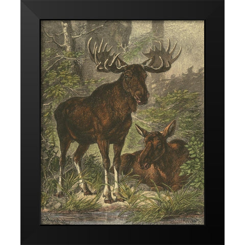 Small Moose Black Modern Wood Framed Art Print by Specht, Friedrich
