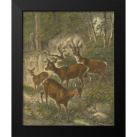 Small Roe Deer Black Modern Wood Framed Art Print by Specht, Friedrich