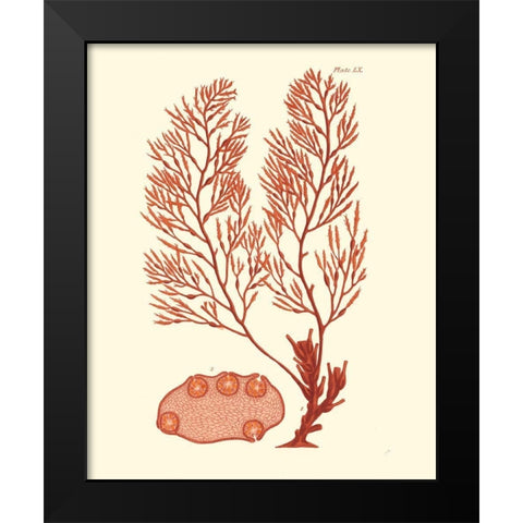 Shades of Coral II Black Modern Wood Framed Art Print by Vision Studio