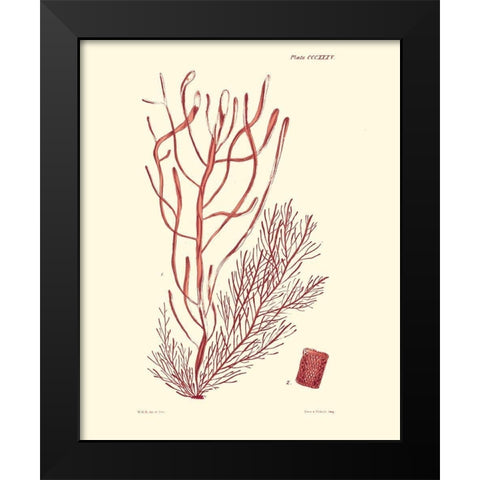 Shades of Coral III Black Modern Wood Framed Art Print by Vision Studio