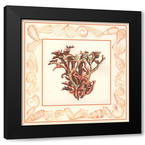 Coral with Shell Border III Black Modern Wood Framed Art Print by Vision Studio